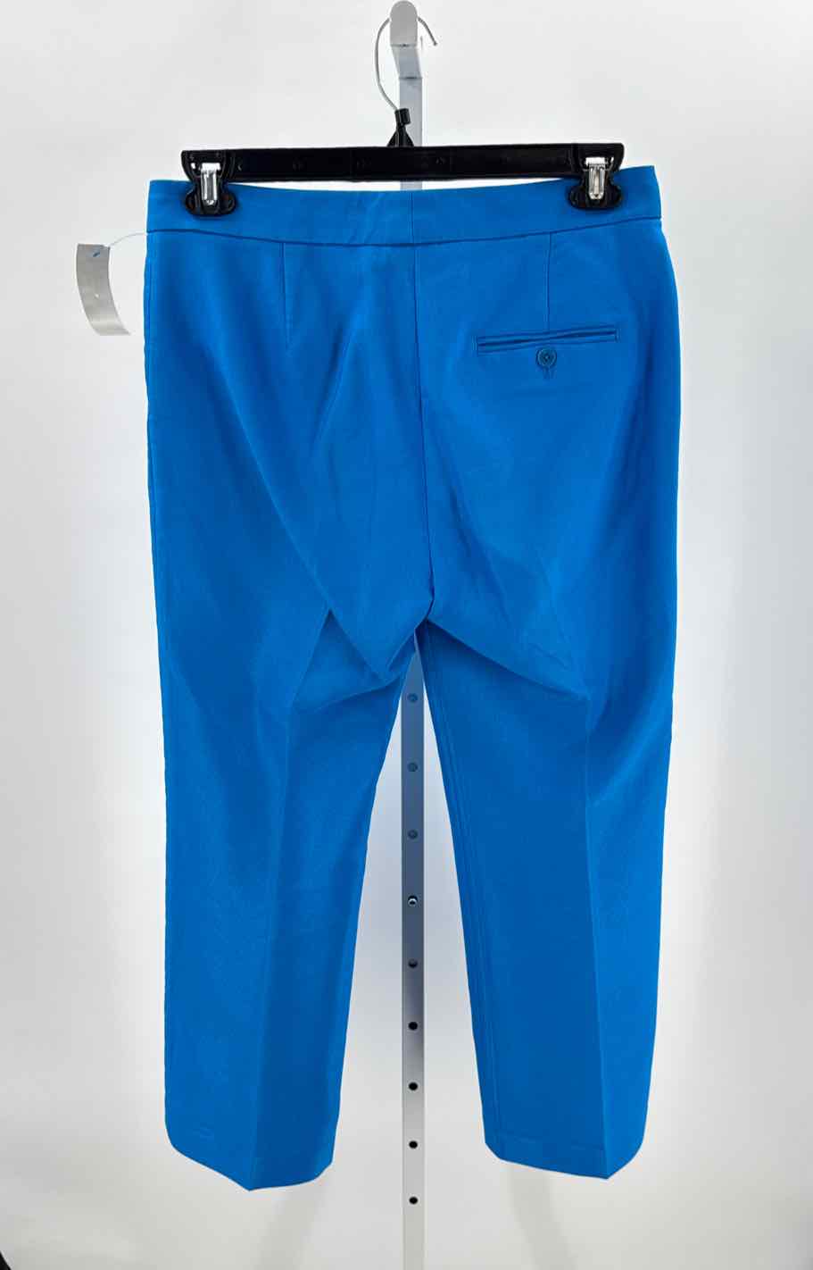Phillip Lim Blue Women Size 8 Womens Pants
