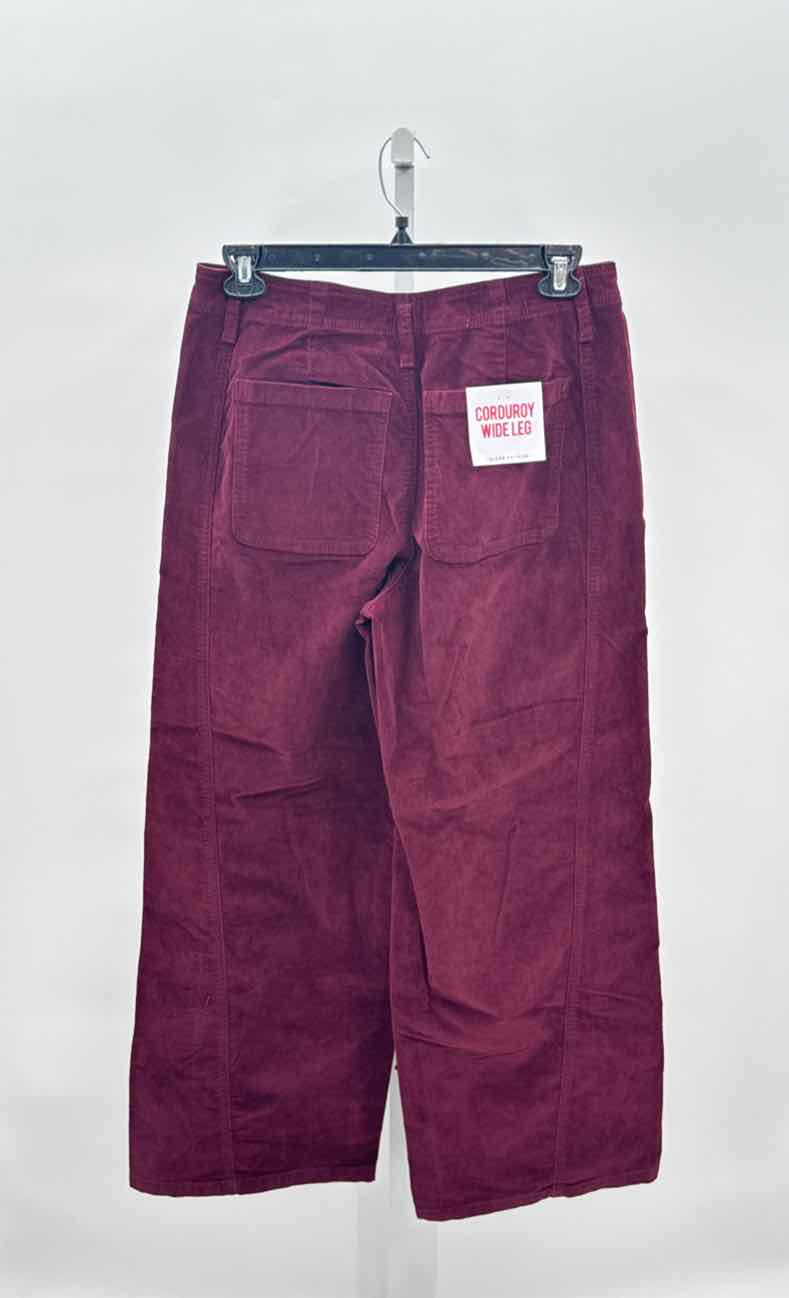 Celebrity Pink Maroon Women Size 13 Jrs Pants
