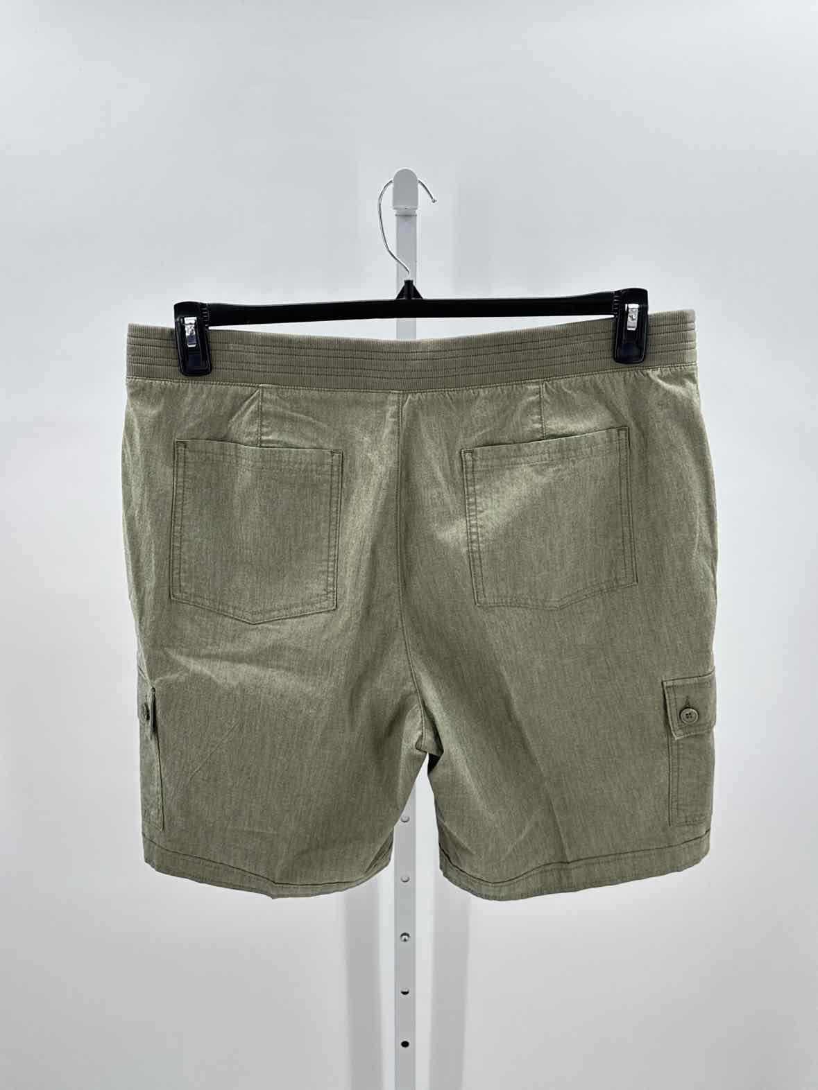 Chicos Green Women Size 3 Womens Shorts