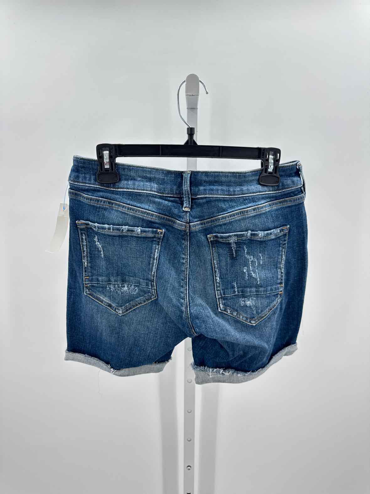 Silver Denim Women Size 3 Jrs Shorts