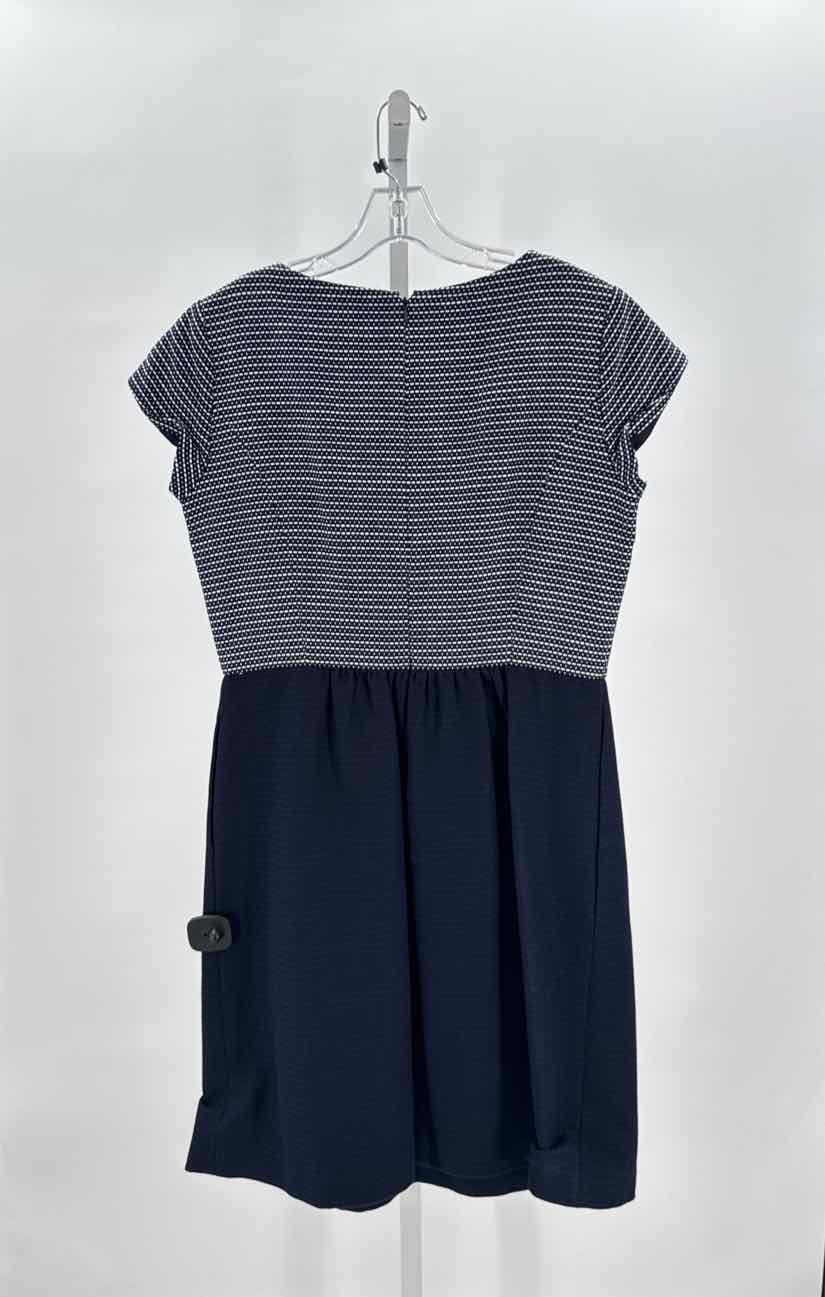 Brooks Brothers Navy/White Women Size Large Womens Dress
