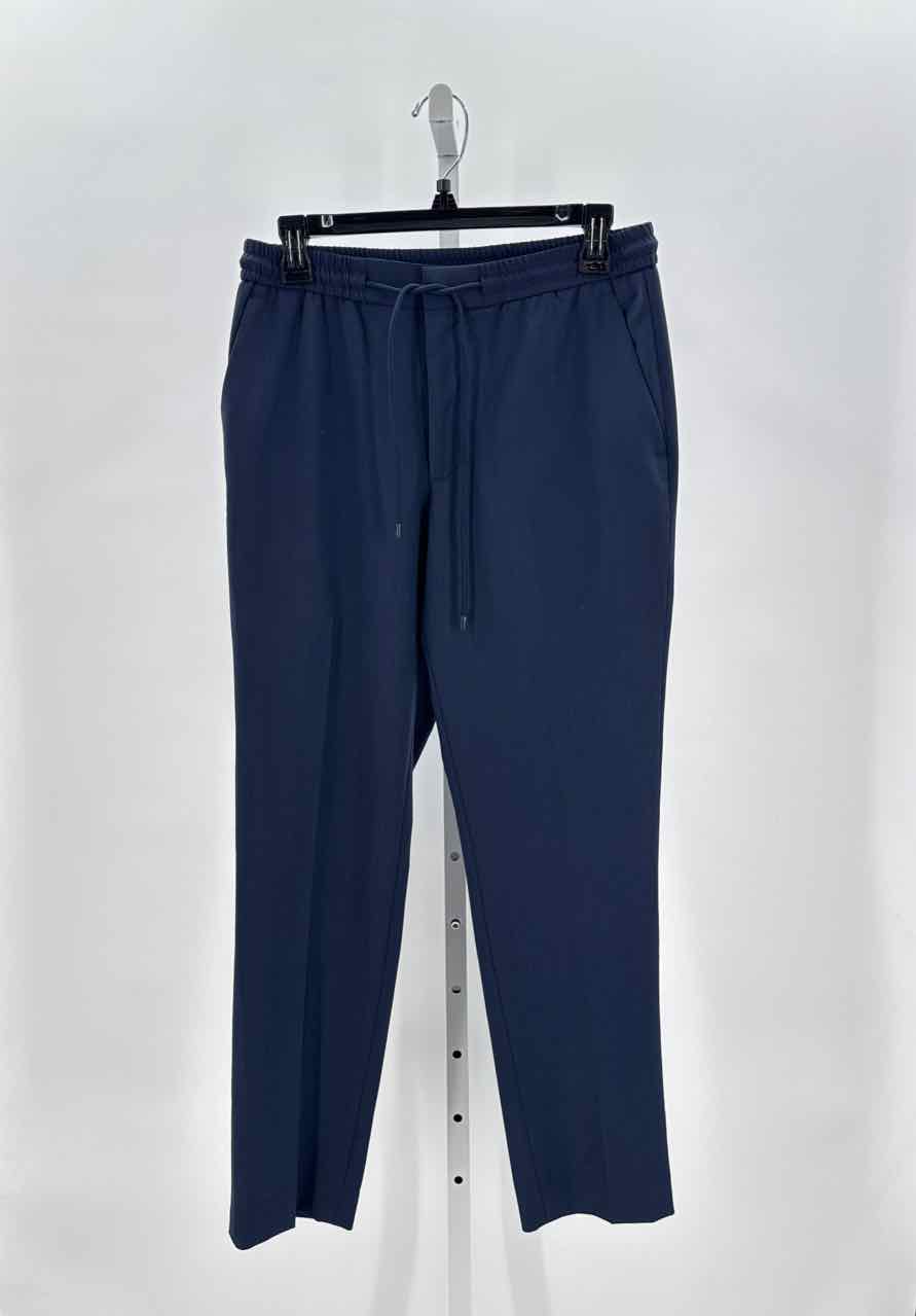 Express Navy Mens Size 30x30 Mens Pants