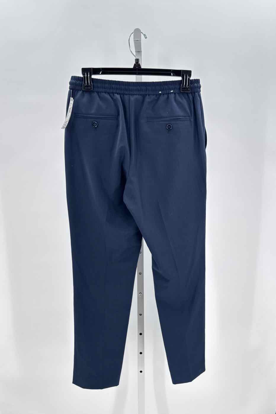Express Navy Mens Size 30x30 Mens Pants