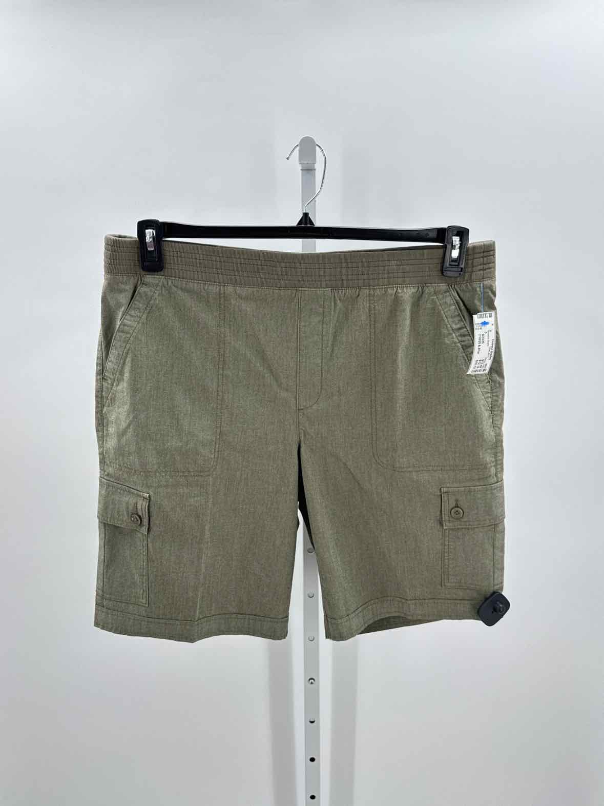 Chicos Green Women Size 3 Womens Shorts