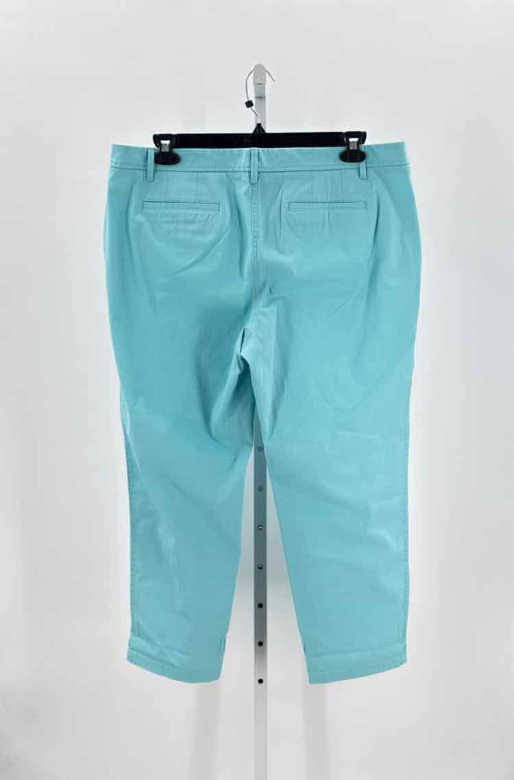 Talbots Blue Women Size 16 Womens Pants