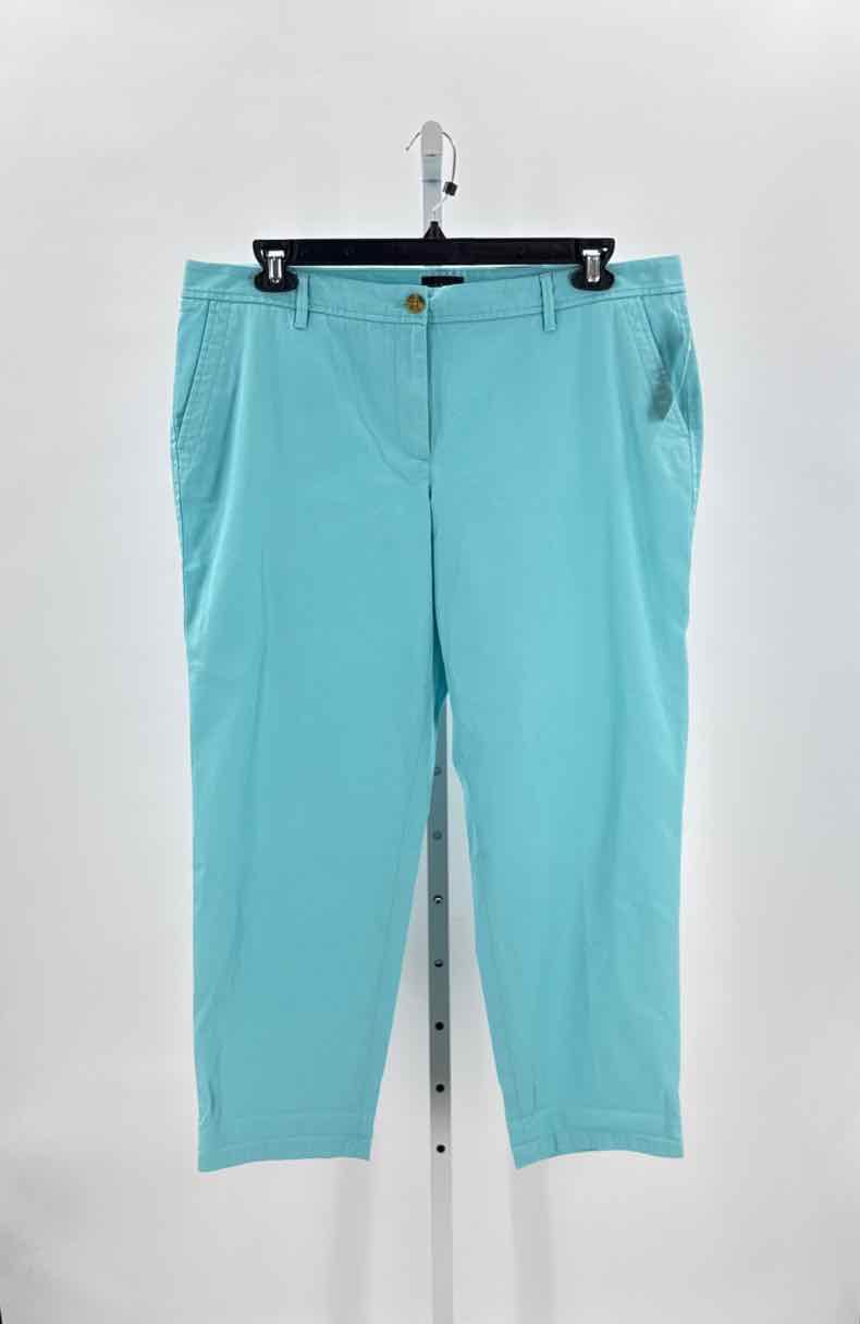 Talbots Blue Women Size 16 Womens Pants