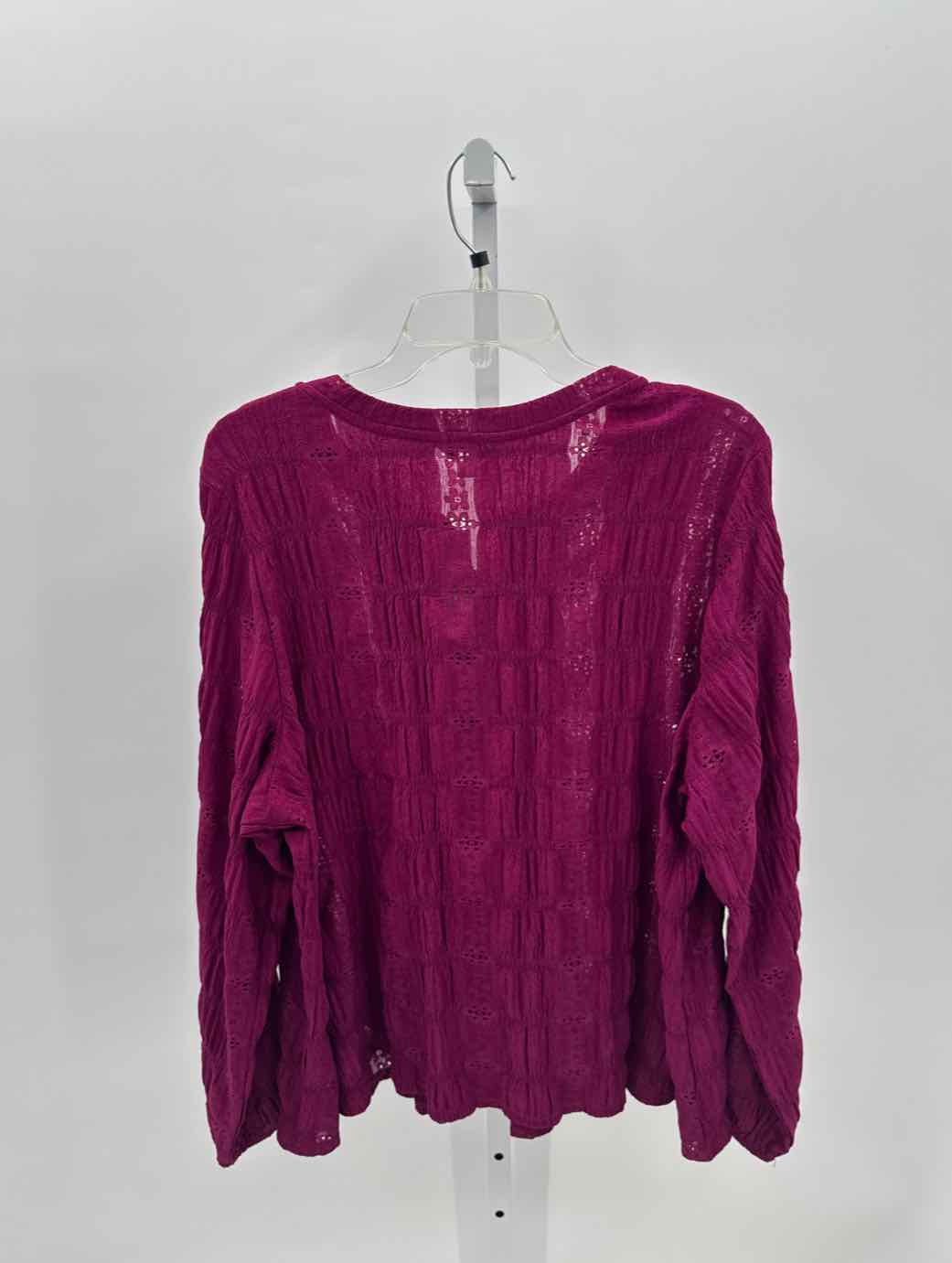 Frye and Co Purple Women Size 1X Womens Ls button/blouse